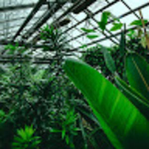 Meet your Posher, Tina